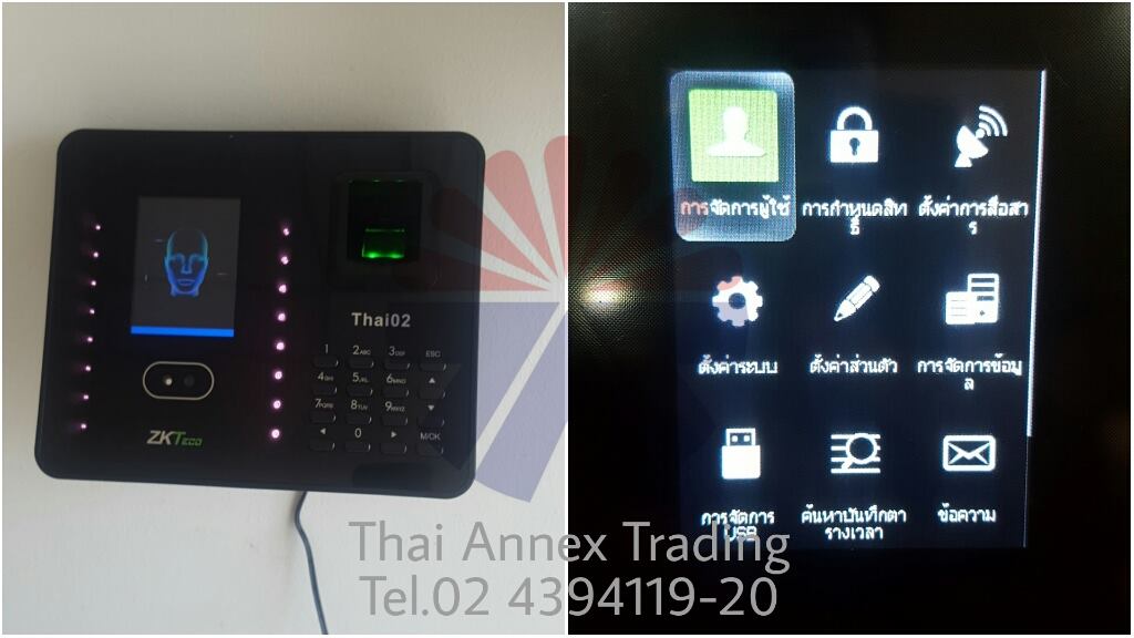 zk Thai02